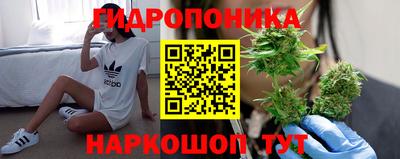 ПСИЛОЦИБИНОВЫЕ ГРИБЫ Бузулук
