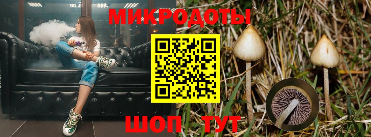наркотики  Вход с VPN  Ликино-Дулёво  Галлюциногенные грибы мухоморы 